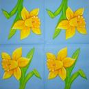 184 Daffodils - 3 ply -